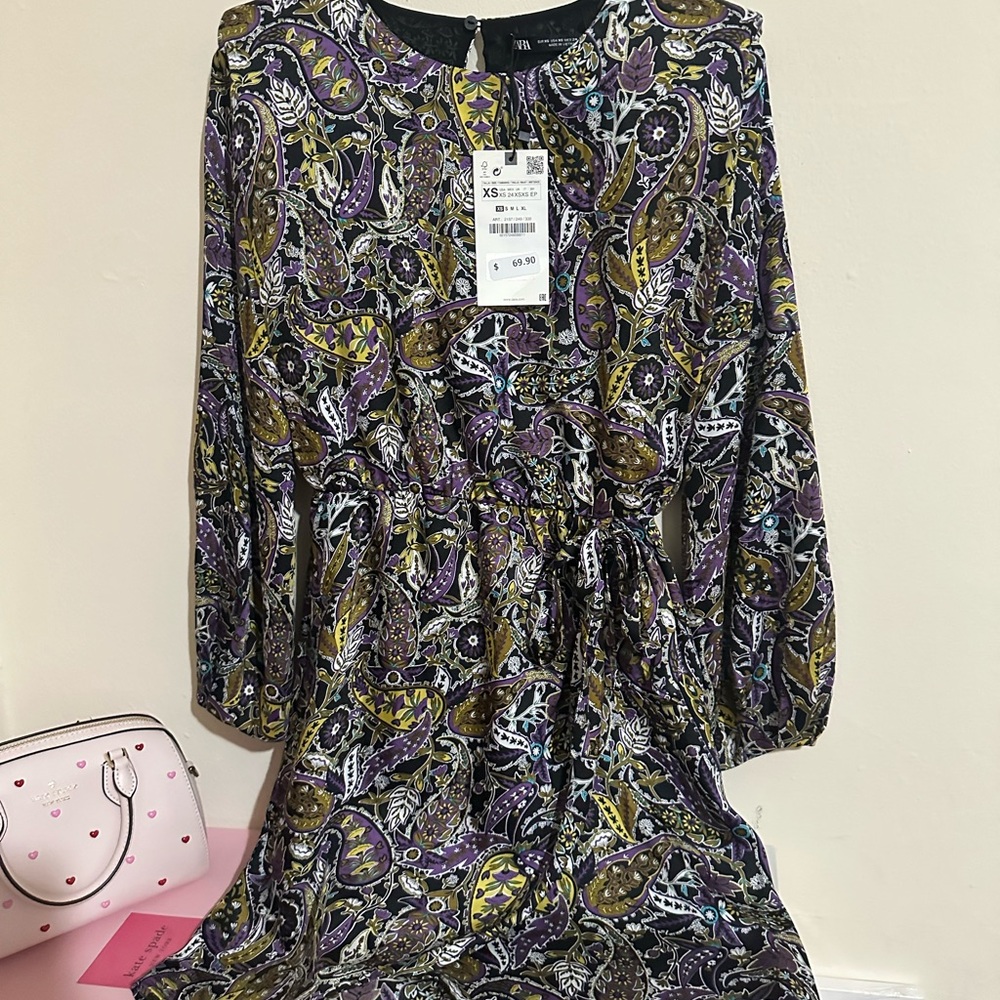 Zara Multicolor Paisley Dress
